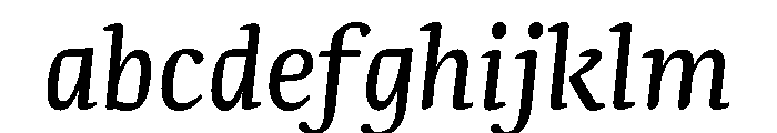 NN Rekja Italic Webfont FONT