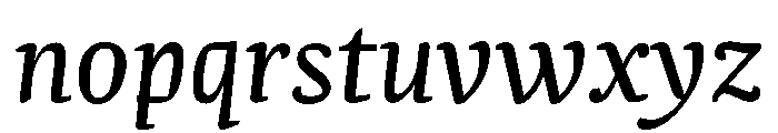 NN Rekja Italic Webfont Font LOWERCASE