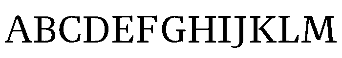 NN Rekja Regular Webfont Font UPPERCASE