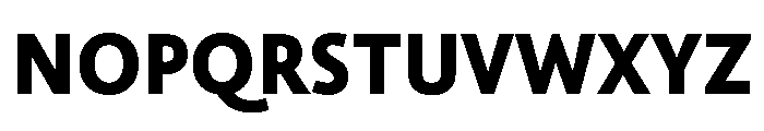 NNAlenaSTD Black Font UPPERCASE