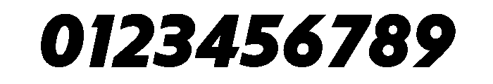 NNArosaSTD BlackItalic Font OTHER CHARS