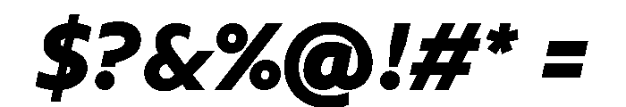 NNArosaSTD BlackItalic Font OTHER CHARS