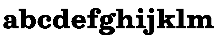 NNColroySTD Heavy FONT