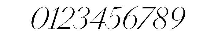NNDidotModern STD LightItalic Font OTHER CHARS