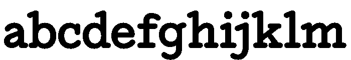 NNEditeurSemiSTD Bold FONT