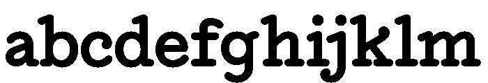 NNEditeurSerifSTD Bold FONT