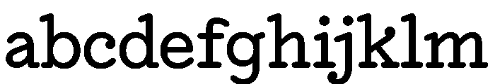 NNEditeurSerifSTD Medium FONT