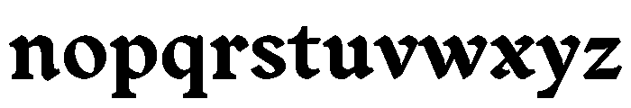 NNKonradSTD Bold Font LOWERCASE