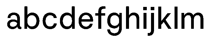 NNNeueNeuePerformance Regular FONT