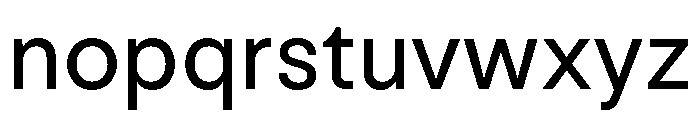 NNNeueNeuePerformance Regular Font LOWERCASE