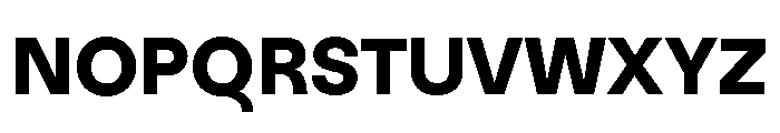 NNNouvelleGroteskSTD Black Font UPPERCASE