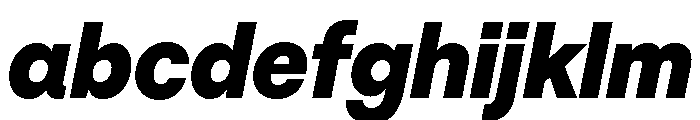 NNNouvelleGroteskSTD FatDiagonal FONT