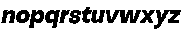 NNNouvelleGroteskSTD FatDiagonal Font LOWERCASE