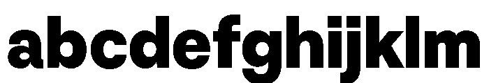 NNNouvelleGroteskSTD Fat FONT