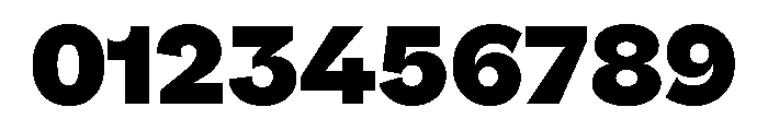 NNPivotGroteskSTD Black Font OTHER CHARS