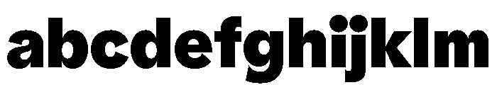 NNPivotGroteskSTD Black FONT