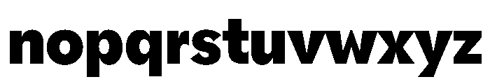 NNPivotGroteskSTD Black Font LOWERCASE