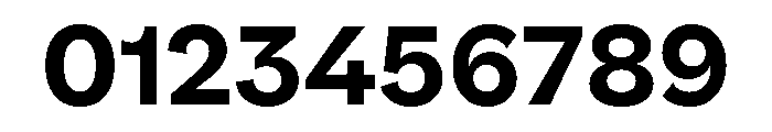 NNPivotGroteskSTD Bold Font OTHER CHARS