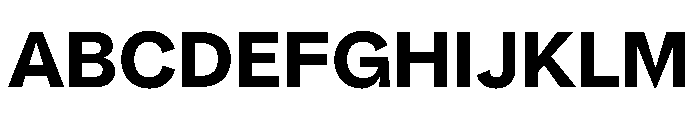 NNPivotGroteskSTD Bold Font UPPERCASE