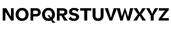 NNPivotGroteskSTD Bold Font UPPERCASE