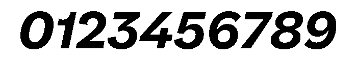 NNPivotGroteskSTD BoldItalic Font OTHER CHARS