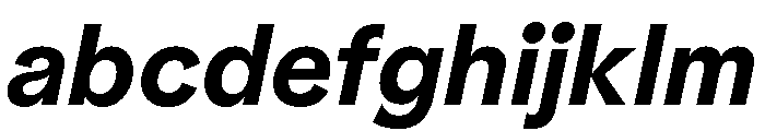 NNPivotGroteskSTD BoldItalic FONT
