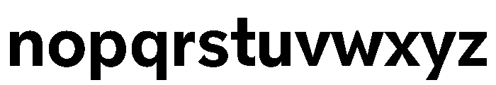 NNPivotGroteskSTD Bold Font LOWERCASE