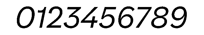 NNPivotGroteskSTD BookItalic Font OTHER CHARS