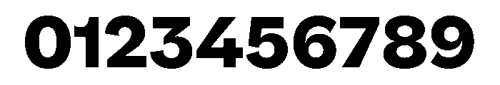 NNPivotGroteskSTD Heavy Font OTHER CHARS
