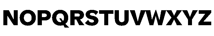 NNPivotGroteskSTD Heavy Font UPPERCASE