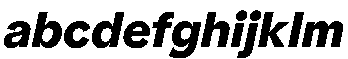 NNPivotGroteskSTD HeavyItalic FONT