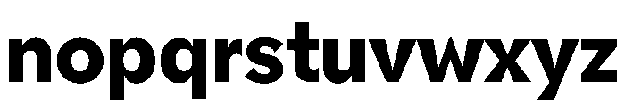 NNPivotGroteskSTD Heavy Font LOWERCASE