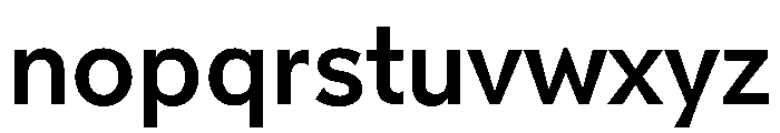 NNPivotGroteskSTD Medium Font LOWERCASE