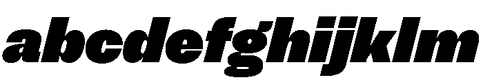 NNSwintonSTD BlackItalic FONT