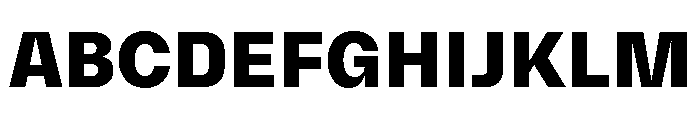 NNSwintonSTD Bold Font UPPERCASE