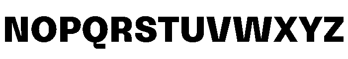 NNSwintonSTD Bold Font UPPERCASE