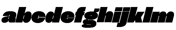 NNSwintonSTD ExtraBlackItalic FONT