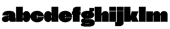 NNSwintonSTD ExtraBlack FONT
