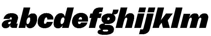 NNSwintonSTD HeavyItalic FONT