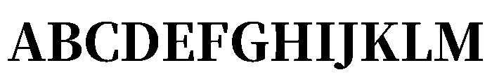 Noto Serif JP Black Font UPPERCASE