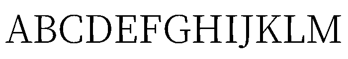 Noto Serif JP Light Font UPPERCASE