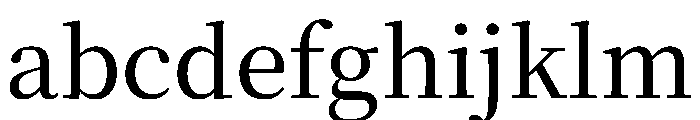 Noto Serif JP Medium FONT