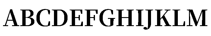 Noto Serif SC Bold Font UPPERCASE