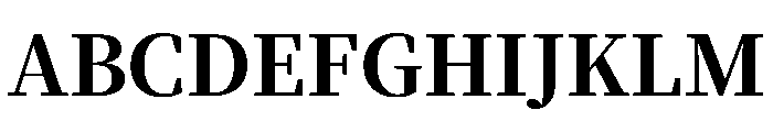 Noto Serif SC ExtraBold Font UPPERCASE