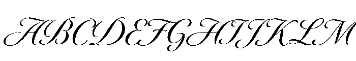 Novantique Script Medium Font UPPERCASE