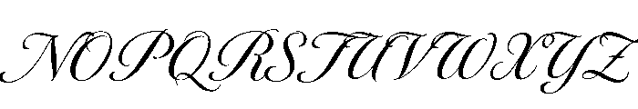 Novantique Script Medium Font UPPERCASE