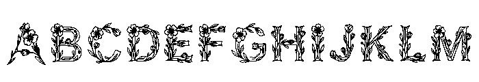 Noah Regular Font UPPERCASE