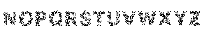 Noah Regular Font UPPERCASE