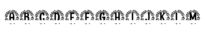 Noblewick Split Monogram FONT