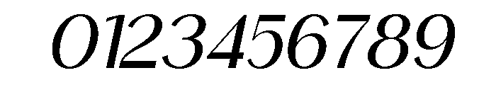 Noctifa Italic Font OTHER CHARS